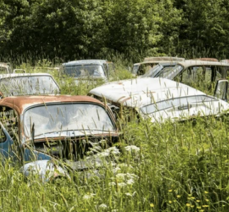 Eyewitness Vehicle Lien Sales